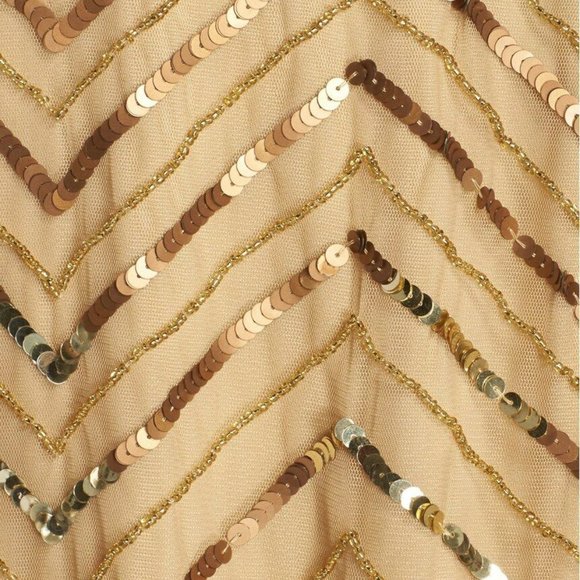 NWT Adrianna Papell Embellished‎ Mesh Blouson Dress - Picture 4 of 12